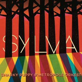Album cover of Sylva