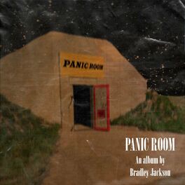 Album cover of Panic Room
