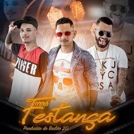 Album cover of Proibidão do Bailão 2.0