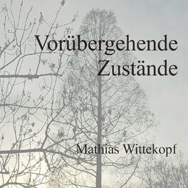 Album cover of Vorübergehende Zustände (Instrumental Version)
