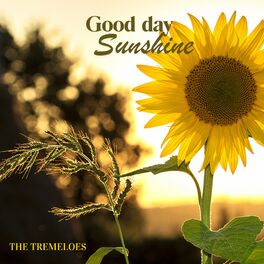 Album cover of Good Day Sunshine