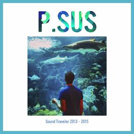 Play Sound Traveler 2017 - 2019 by P.SUS on  Music