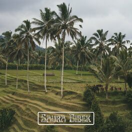 Album cover of Saura Bibek