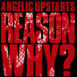 Album cover of Reason Why?