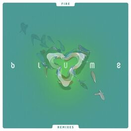 Album cover of Fire (Remixes)