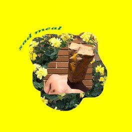 Album cover of Sad Meal