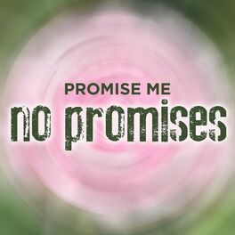 Album cover of Promise Me No Promises