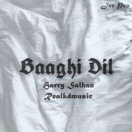 Album cover of Baaghi Dil