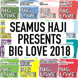Album cover of Seamus Haji Presents Big Love 2018