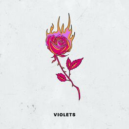 Album cover of Violets
