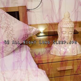 Album cover of 42 All Night Long Sleep