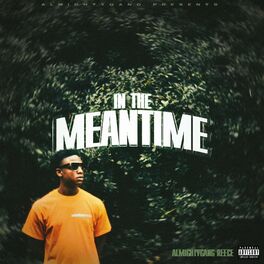 Album cover of In The Meantime