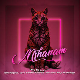 Album cover of Mshanam