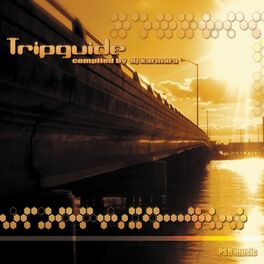 Album cover of Tripguide