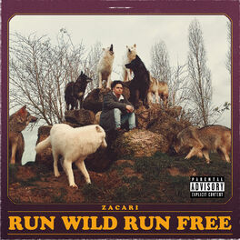 Album cover of Run Wild Run Free
