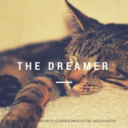 Album cover of The Dreamer - Easy-Listening Tracks To Control Anger & Fall Asleep Faster