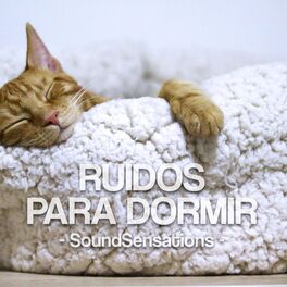 Album cover of Ruidos Para Dormir