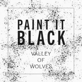 Album cover of Paint It Black