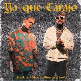 Album cover of Ya que carajo