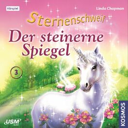 Album cover of Teil 3: Der Steinerne Spiegel