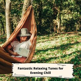 Album cover of Fantastic Relaxing Tunes for Evening Chill