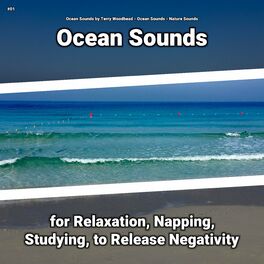 Album cover of #01 Ocean Sounds for Relaxation, Napping, Studying, to Release Negativity