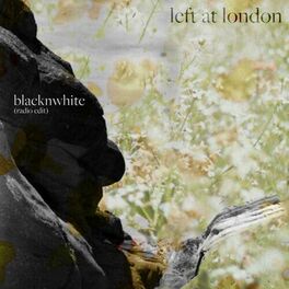 Album cover of blacknwhite