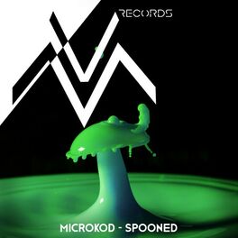 Album cover of Spooned