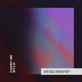 Album cover of Carry Me (feat. Sajan Nauriyal, Jake James & Montell Fish)