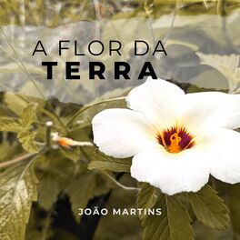 Album cover of A Flor da Terra