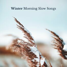 Album cover of Winter Morning Slow Songs