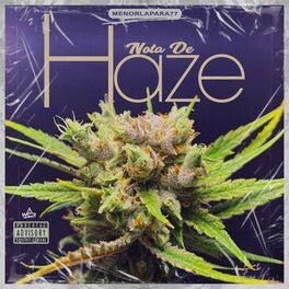 Album cover of Nota De Haze