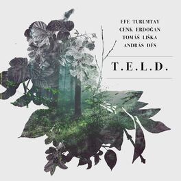 Album cover of T.E.L.D.