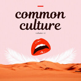 Album cover of Common Culture, Vol. VI