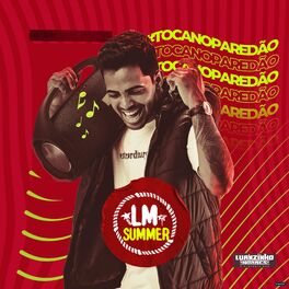 Album cover of LM Summer - Toca no Paredão