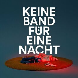 Album cover of Keine Band für eine Nacht
