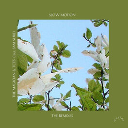 Album cover of Slow Motion (Boston Bun & Punctual Remixes) (feat. Sam Sure)
