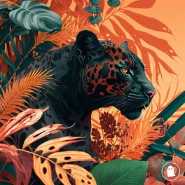 Album cover of Jungle Vibes