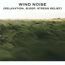Album cover of Wind Noise (Relaxation, Sleep, Stress Relief)
