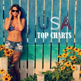 Album cover of USA TOP CHARTS