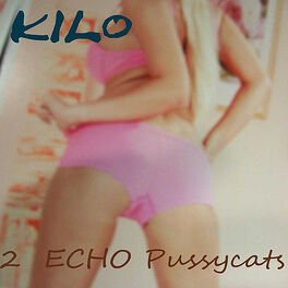 Album cover of 2 Echo Pussycats