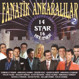 Album cover of Fanatik Ankaralılar, Vol. 2 (14 Star 16 Hit Eser)