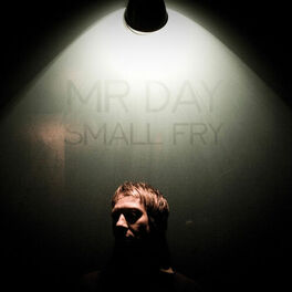 Album cover of Small Fry