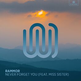 Album cover of Never Forget You
