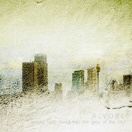 Album cover of I Should Have Dived into the Grey of the City