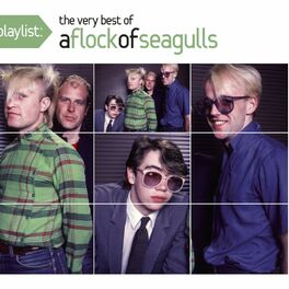 Album cover of Playlist: The Very Best of A Flock of Seagulls
