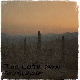 Album cover of Too Late Now