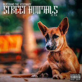Album cover of Street Animals