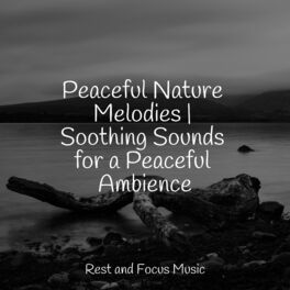 Album cover of Peaceful Nature Melodies | Soothing Sounds for a Peaceful Ambience