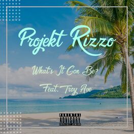 Album cover of What's It Gon Be (feat. Troy Ave)